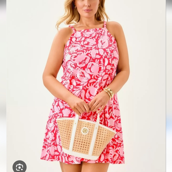 Lilly Pulitzer Dresses & Skirts - NWT Lilly Pulitzer Kyleigh Dress